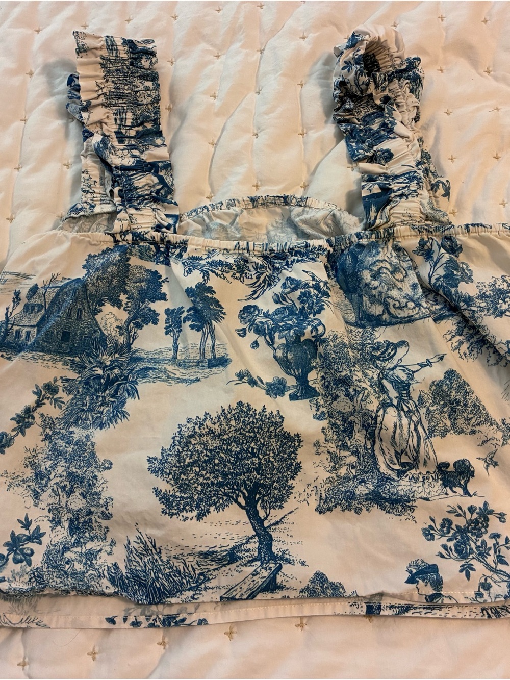 Gianni Bini Blue and White Toile Ruffled top